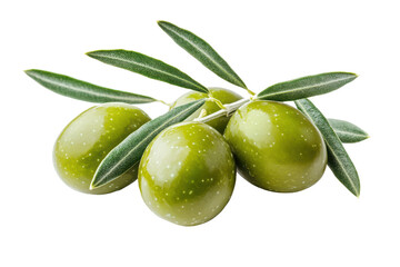 Obraz premium Close-up view of three green olives on a branch with leaves against a dark backdrop. The olives are fresh and appear ripe.