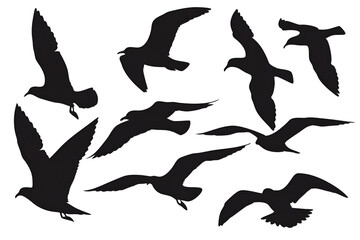 Obraz premium silhouettes of seagull ,Set of Silhouette of seagulls 