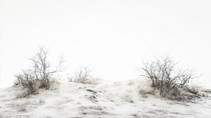 Minimalist winter landscape with snow-covered mounds and leafless shrubs against a bright white sky.