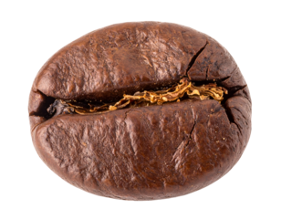 extreme close-up of single roasted coffee bean with detailed texture and crack lines on isolated background for food and drink design
