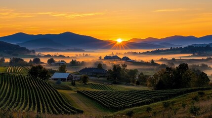 Naklejka premium A beautiful morning sunrise over a valley of rolling hills