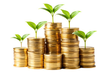 Gold coins stack and plant growing isolated on transparent background, financial growth symbol, PNG file, investment, nature prosperity

