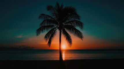 A beautiful sunset is seen behind a tropical palm tree