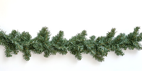 Fototapeta premium Green pine tree branches, isolated fir twigs perfect for xmas holiday decoration