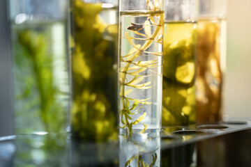 In the green laboratory, biology researchers conduct experiments on plant samples, using advanced equipment to test hypotheses and further their research in plant science.
