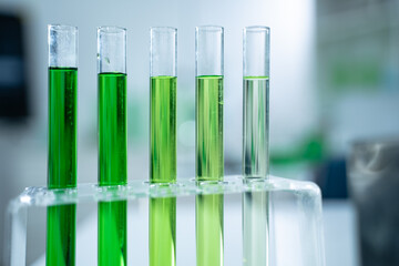 In the green laboratory, biology researchers conduct experiments on plant samples, using advanced equipment to test hypotheses and further their research in plant science.