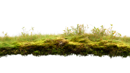 Norwegian turf roof edge with visible vegetation, isolated on Transparent background.