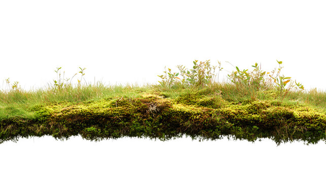 Norwegian turf roof edge with visible vegetation, isolated on Transparent background.