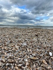 beach, beach of shells, beach with sky and water in the background, beach of shells with sky and water in the background
