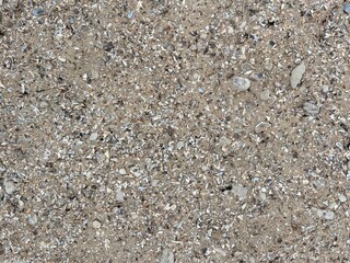 beach, shell beach, shell background, shell rock background
