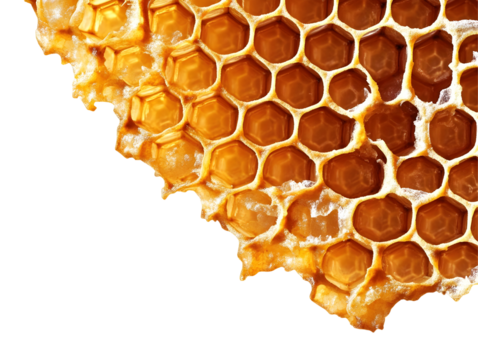 Honeycomb Isolated Transparent Illustration, Honeycomb Honeycomb Cells, Yellow Close Up, Organic Natural Pattern Background