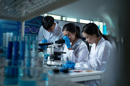 Three young scientists in lab coats working together in a laboratory examining a petri dish for microbiology biology and medical research with focus on education and innovation