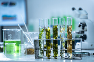 In the green laboratory, biology researchers conduct experiments on plant samples, using advanced...