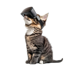 Cute tabby kitten exploring digital world in VR glasses, isolated on transparent cutout background