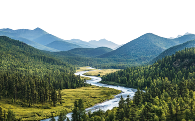 Peaceful mountain landscape with a river flowing through a dense forest, isolated on transparent cutout background