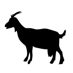 goat silhouette illustration