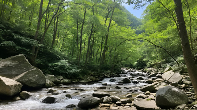Mary Ingle Trail - Glen Lyn, VA