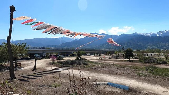 北アルプスとこいのぼり