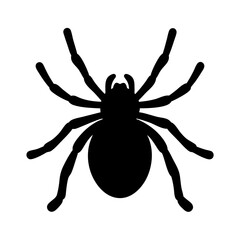 Silhouette of a spider on white background, Halloween themed arachnid illustration