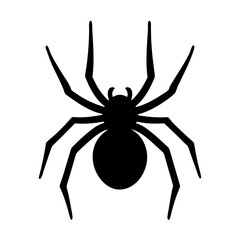 Silhouette of a menacing spider with eight legs isolated on white background