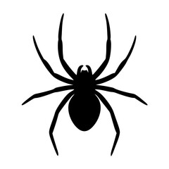 Black silhouette illustration of a spider with eight legs on white background