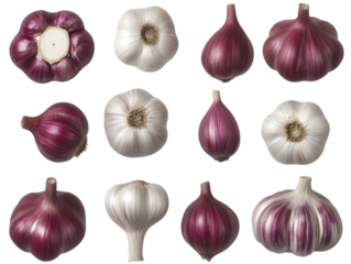 Isolated Garlic Heads Variety Purple And White Photo Illustration
