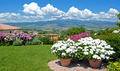 Lush garden with blooming flowers overlooking hills under a bright, cloudy blue sky on a sunny day