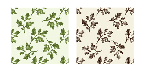 Seamless pattern set with hand drawn colored and black parsley leaves in vintage sketch style © Mariia Mazaeva