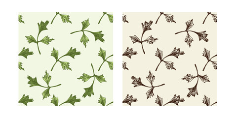 Seamless pattern set with hand drawn colored and black parsley leaves in vintage sketch style