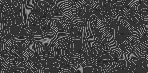 Topographic map background concept. Topo contour map. Rendering abstract illustration. Vector abstract illustration. Geography concept. paper texture design. Limited of a geographical map