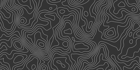 Topographic map background concept. Topo contour map. Rendering abstract illustration. Vector abstract illustration. Geography concept. paper texture design. Limited of a geographical map