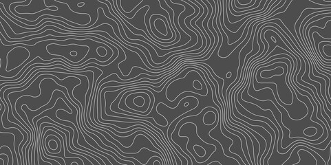 Topographic map background concept. Topo contour map. Rendering abstract illustration. Vector abstract illustration. Geography concept. paper texture design. Limited of a geographical map