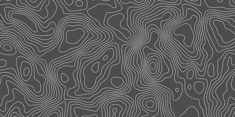 Topographic map background concept. Topo contour map. Rendering abstract illustration. Vector abstract illustration. Geography concept. paper texture design. Limited of a geographical map