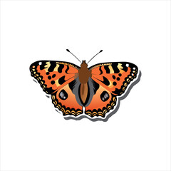 Elegant Butterfly on Natural Background
