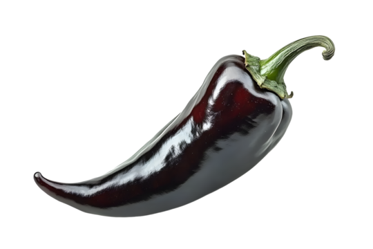 Black chipotle or Ancho chili pepper isolated on a white background.