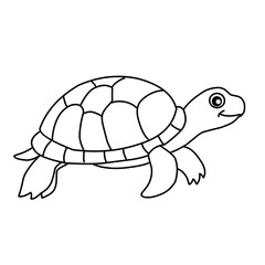 illustration of a tortoise sketch on a white background