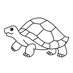 illustration of a tortoise sketch on a white background