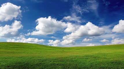 Pristine Green Field Blending into Bright Blue Sky with Clouds