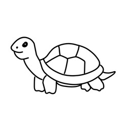 illustration of a tortoise sketch on a white background