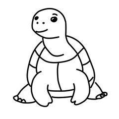 illustration of a tortoise sketch on a white background