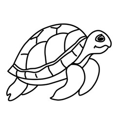 illustration of a tortoise sketch on a white background