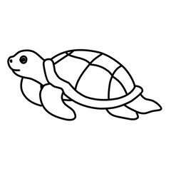 illustration of a tortoise sketch on a white background