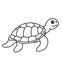illustration of a tortoise sketch on a white background