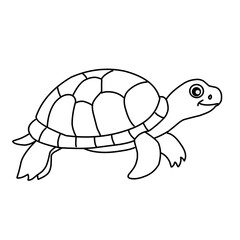 illustration of a tortoise sketch on a white background