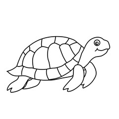 illustration of a tortoise sketch on a white background