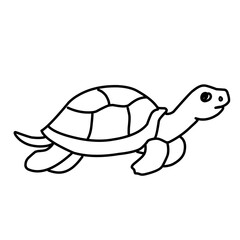 illustration of a tortoise sketch on a white background