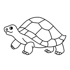 illustration of a tortoise sketch on a white background