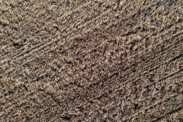 Overhead Shot of Dry Agricultural Field with Natural Patterns. Aerial Farm Landscape Showing Textured Crop Rows and Soil Variations