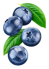 Obraz premium Flying blueberry isolated on white background