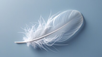Obraz premium Single White Feather: Symbol of Peace and Calm on Blue 